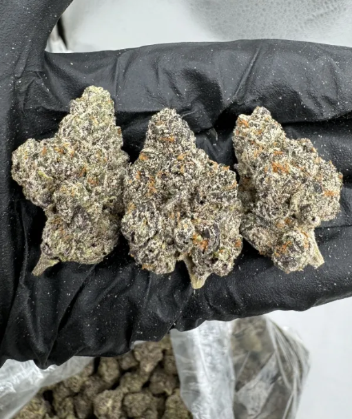 NYC GELATO – EXOTIC