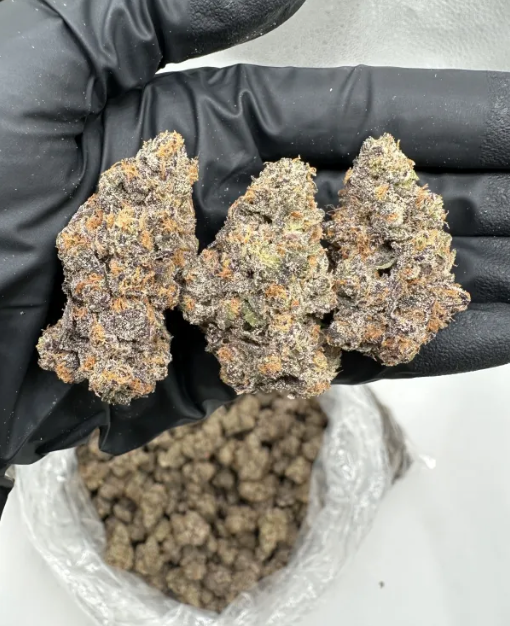 PURPLE CERTZ – EXOTIC