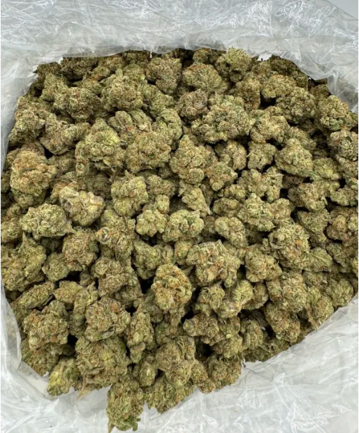 ALASKAN THUNDER FUCK – INDOOR