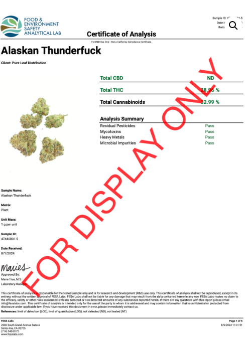 ALASKAN THUNDER FUCK – INDOOR