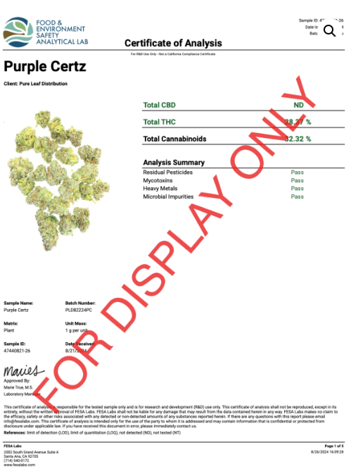 PURPLE CERTZ – EXOTIC